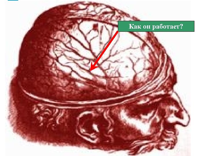 Как он работает? 