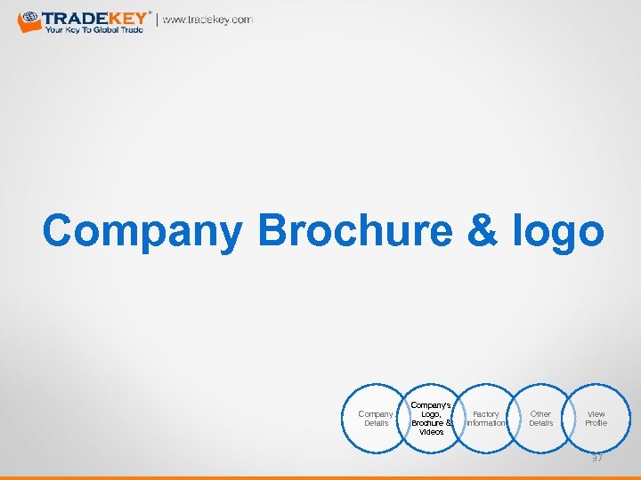 Company Brochure & logo Company Details Company‘s Logo, Brochure & Videos Factory Information Other