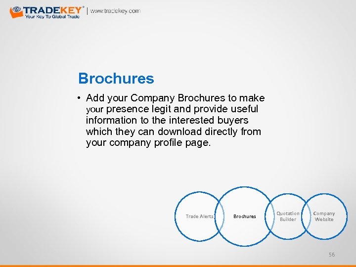 Brochures • Add your Company Brochures to make your presence legit and provide useful