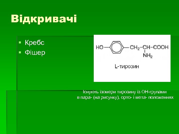 Відкривачі § Кребс § Фішер Існують ізомери тирозину із ОН-групами в пара- (на рисунку),