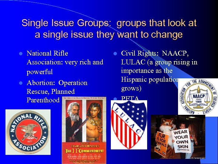 Single Issue Groups: groups that look at a single issue they want to change