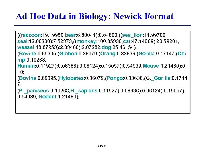 Ad Hoc Data in Biology: Newick Format ((raccoon: 19. 19959, bear: 6. 80041): 0.