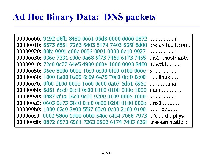 Ad Hoc Binary Data: DNS packets 0000: 9192 d 8 fb 8480 0001 05