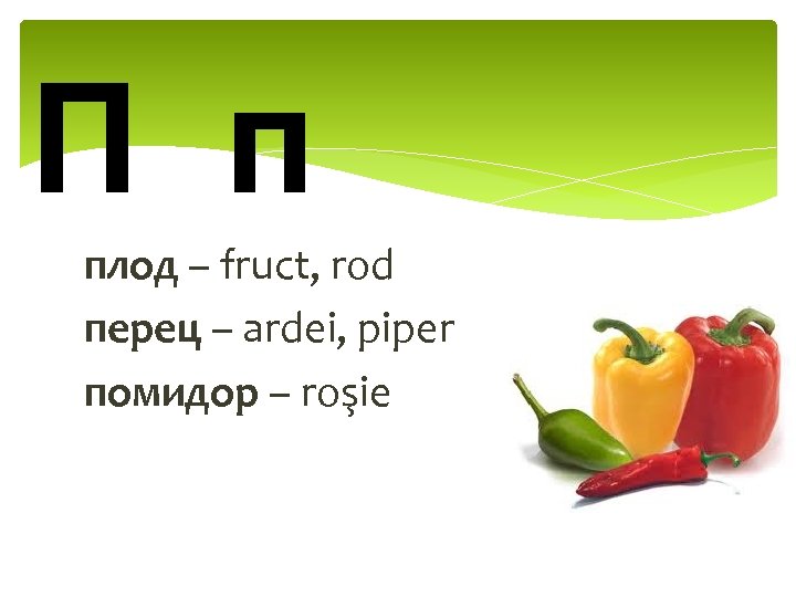 П п плод – fruct, rod перец – ardei, piper помидор – roşie 