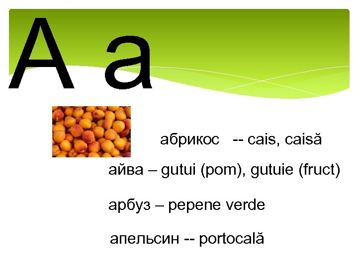 Aa абрикос -- cais, caisă айва – gutui (pom), gutuie (fruct) арбуз – pepene