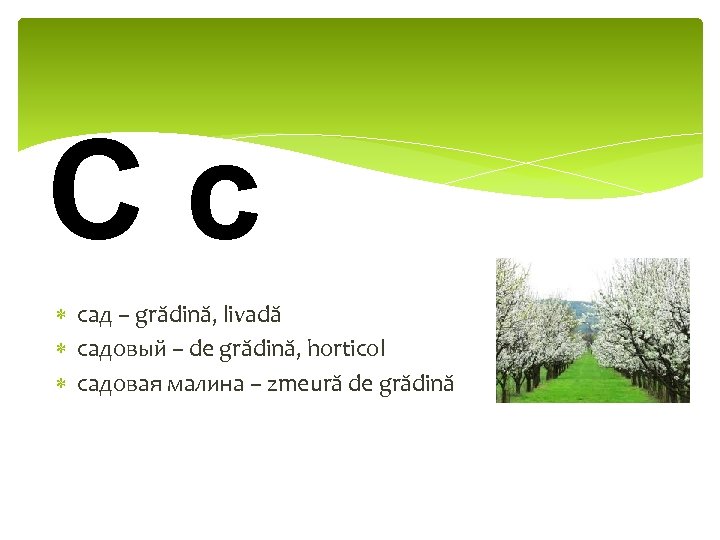 Сс сад – grădină, livadă садовый – de grădină, horticol садовая малина – zmeură