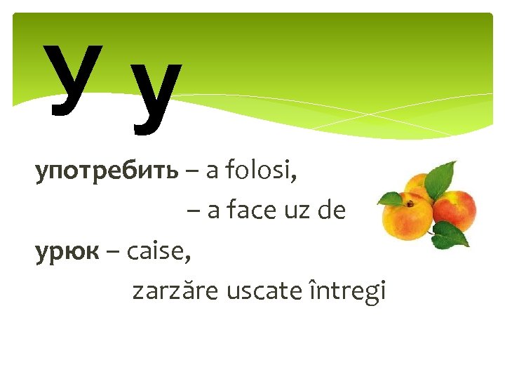 Уу употребить – a folosi, – a face uz de урюк – caise, zarzăre