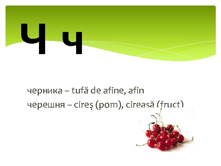 Чч черника – tufă de afine, afin черешня – cireş (pom), cireaşă (fruct) 