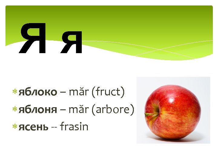 Яя яблоко – măr (fruct) яблоня – măr (arbore) ясень -- frasin 