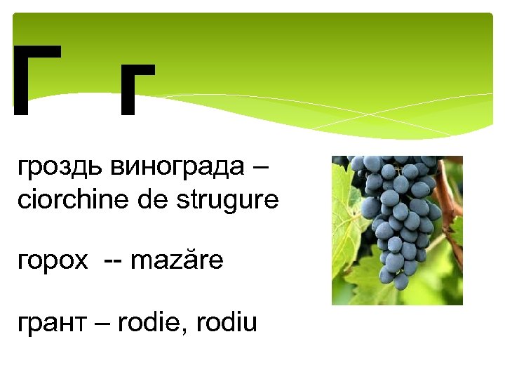 Г г гроздь винограда – ciorchine de strugure горох -- mazăre грант – rodie,