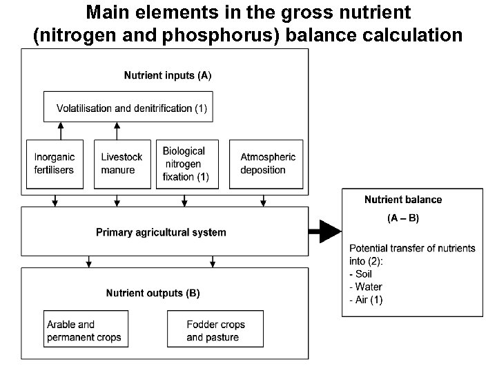 Main elements in the gross nutrient (nitrogen and phosphorus) balance calculation 