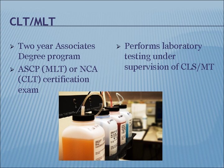 CLT/MLT Ø Ø Two year Associates Degree program ASCP (MLT) or NCA (CLT) certification