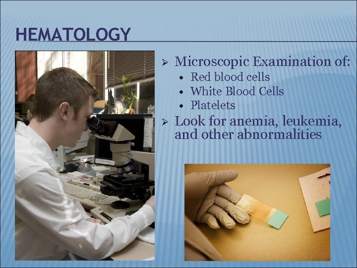 HEMATOLOGY Ø Microscopic Examination of: Ø Red blood cells White Blood Cells Platelets Look