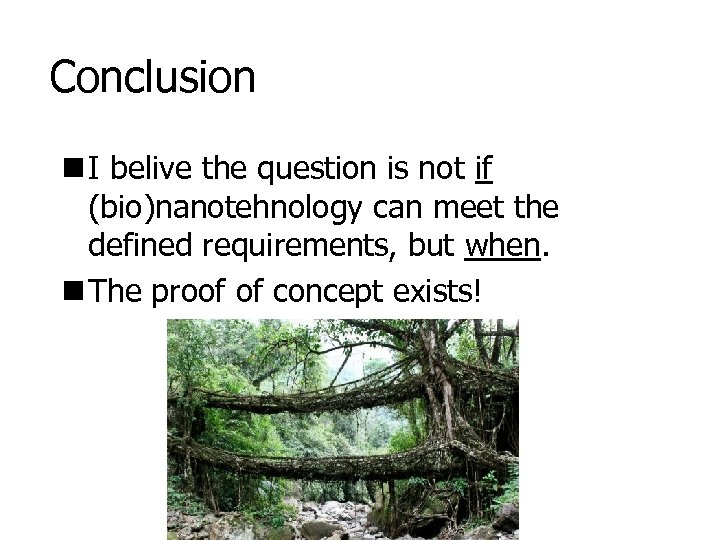 Conclusion n I belive the question is not if (bio)nanotehnology can meet the defined