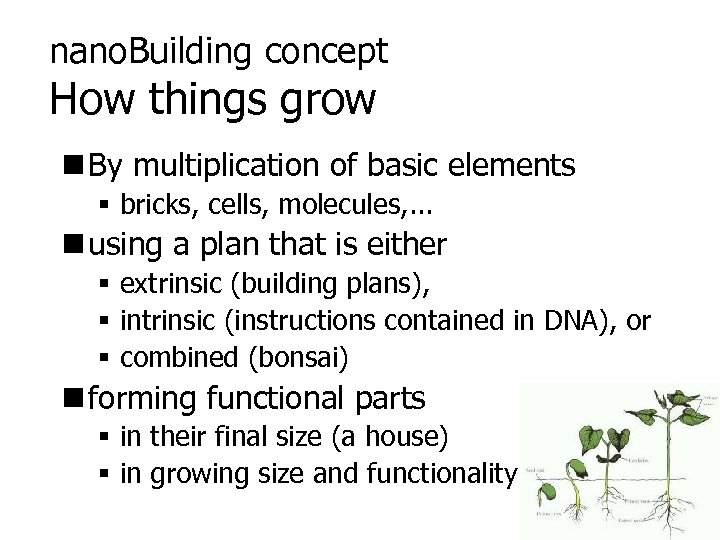nano. Building concept How things grow n By multiplication of basic elements § bricks,