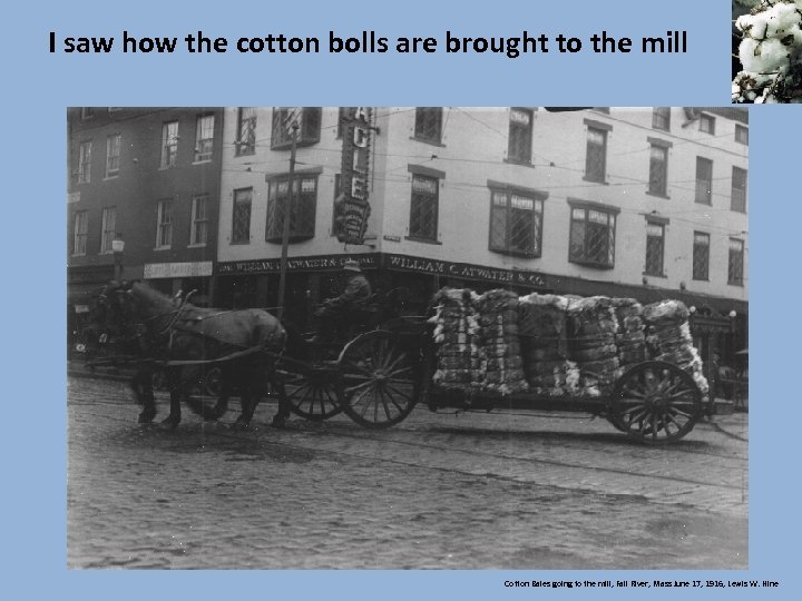  I saw how the cotton bolls are brought to the mill Cotton Bales