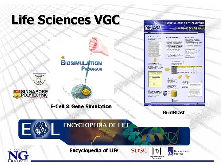 Life Sciences VGC E-Cell & Gene Simulation Encyclopedia of Life Grid. Blast 