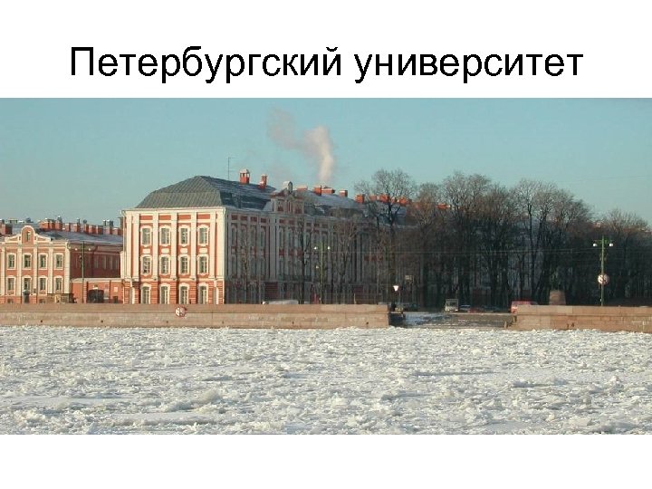 Петербургский университет 