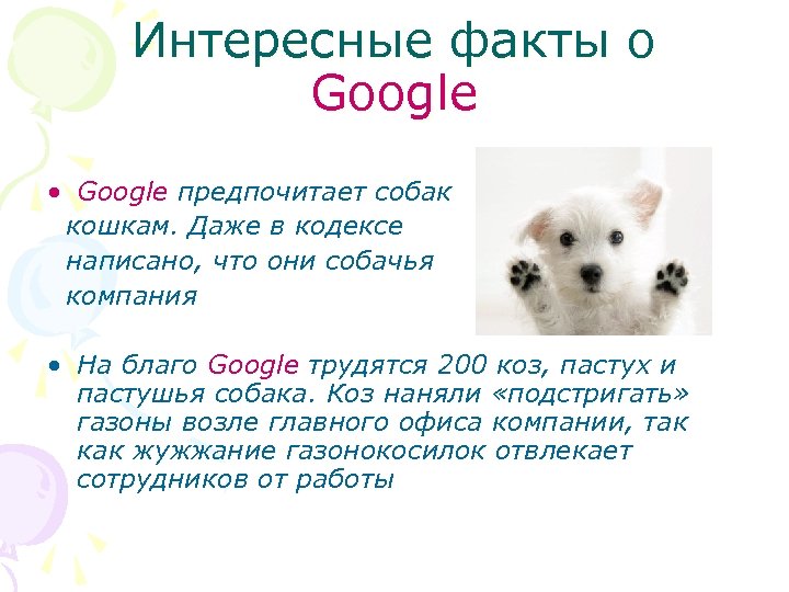 Интересные факты о Google • Google предпочитает собак кошкам. Даже в кодексе написано, что
