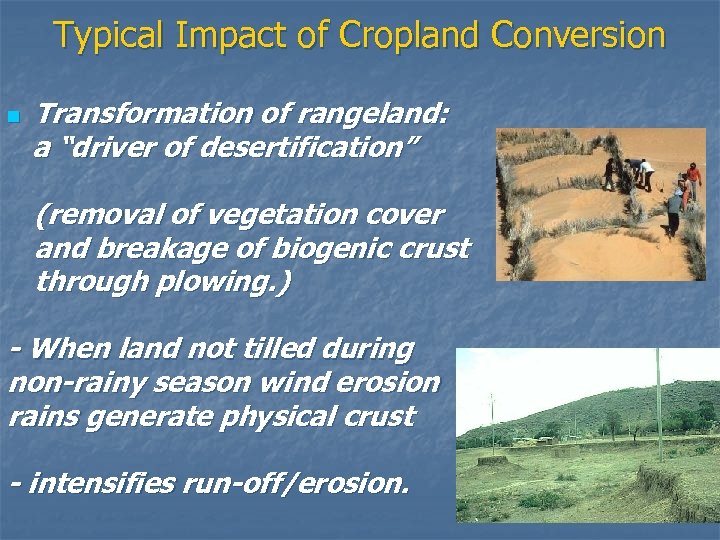 Typical Impact of Cropland Conversion n Transformation of rangeland: a “driver of desertification” (removal