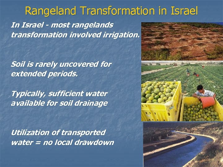 Rangeland Transformation in Israel In Israel - most rangelands transformation involved irrigation. Soil is