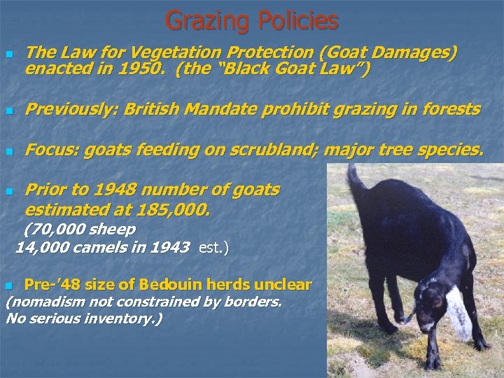 Grazing Policies n The Law for Vegetation Protection (Goat Damages) enacted in 1950. (the