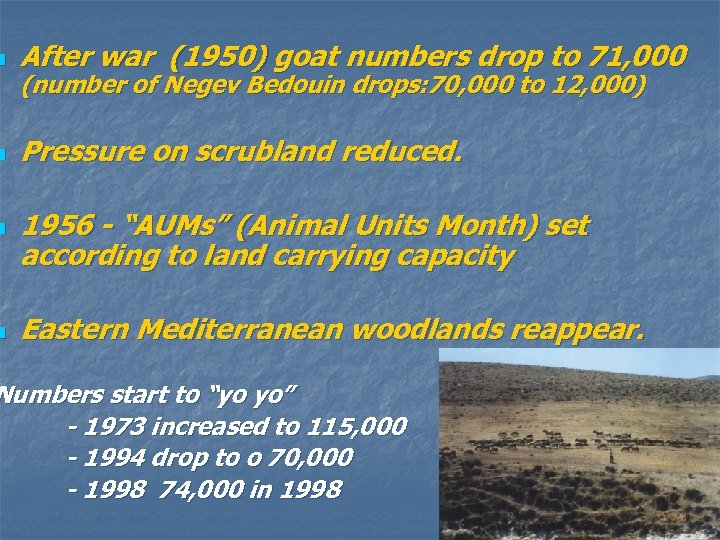 n After war (1950) goat numbers drop to 71, 000 n Pressure on scrubland