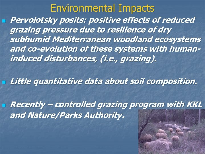 Environmental Impacts n n n Pervolotsky posits: positive effects of reduced grazing pressure due