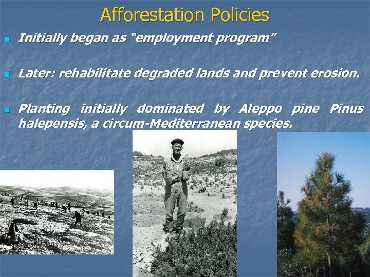 Afforestation Policies n Initially began as “employment program” n Later: rehabilitate degraded lands and