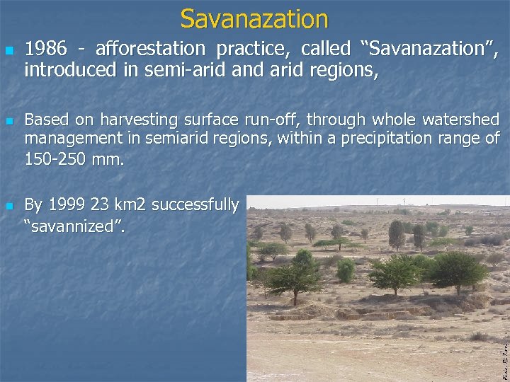 Savanazation n 1986 - afforestation practice, called “Savanazation”, introduced in semi-arid and arid regions,
