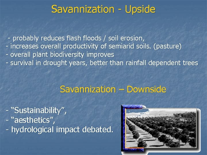 . Savannization - Upside - probably reduces flash floods / soil erosion, - increases