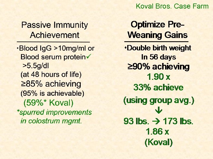 Koval Bros. Case Farm 