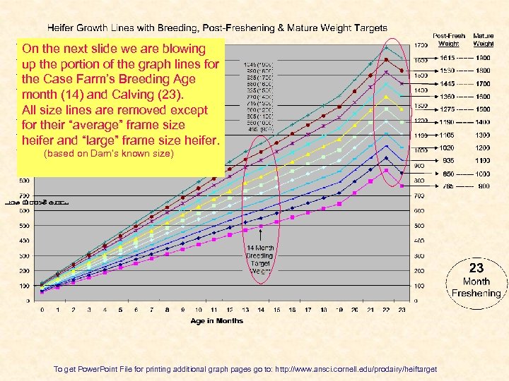 On the next slide we are blowing up the portion of the graph lines
