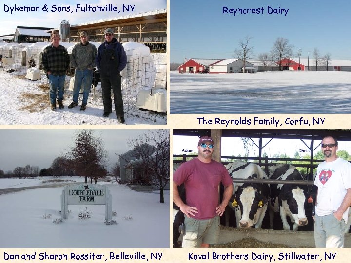 Dykeman & Sons, Fultonville, NY Reyncrest Dairy The Reynolds Family, Corfu, NY Dan and
