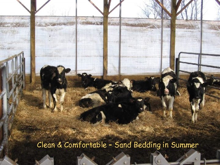 Clean & Comfortable – Sand Bedding in Summer 
