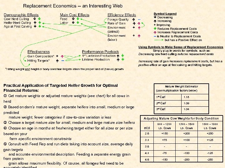Practical Application of Targeted Heifer Growth for Optimal Financial Returns: Mature Weight Estimator (use