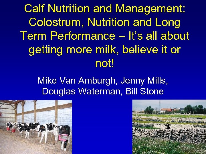 Calf Nutrition and Management: Colostrum, Nutrition and Long Term Performance – It’s all about