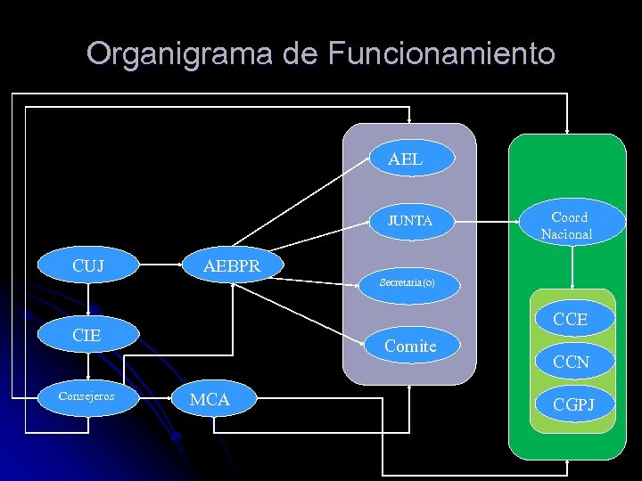 Organigrama de Funcionamiento AEL JUNTA CUJ Coord Nacional AEBPR Secretaria(o) CCE CIE Consejeros Comite
