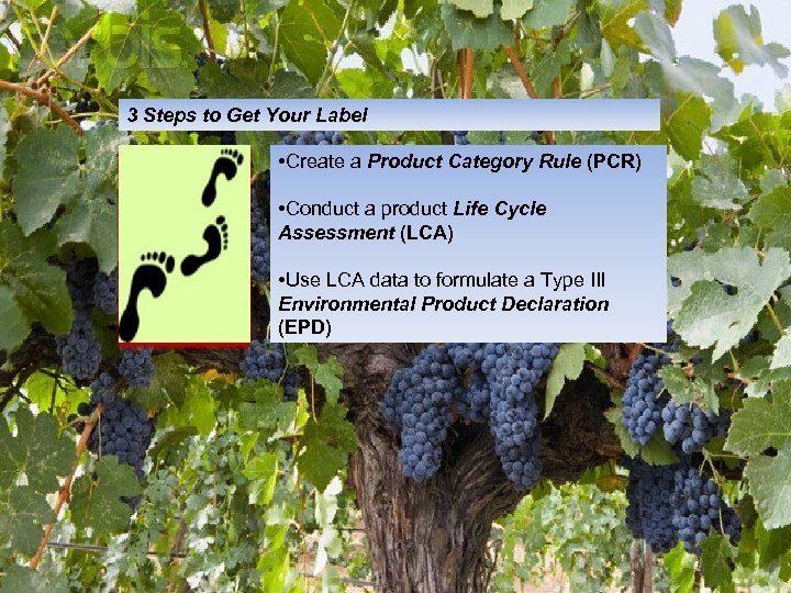 3 Steps to Get Your Label • Create a Product Category Rule (PCR) •