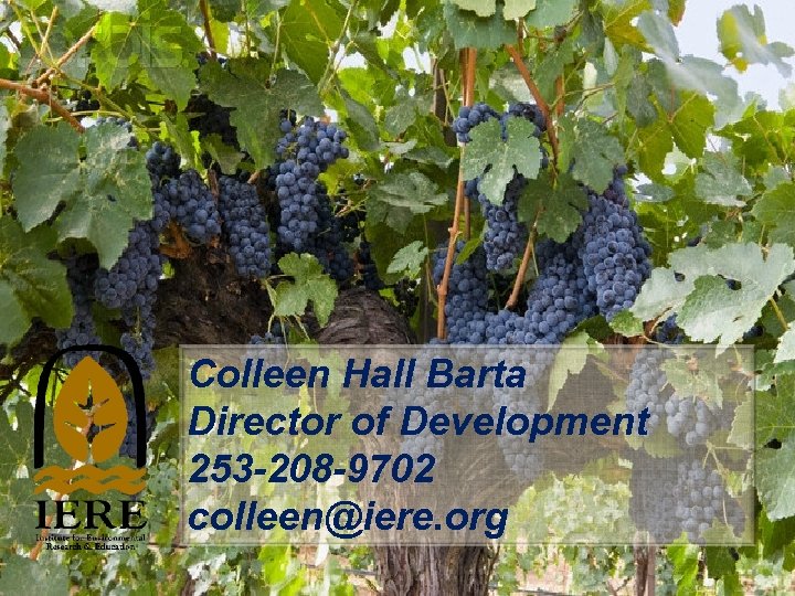 Colleen Hall Barta Director of Development 253 -208 -9702 colleen@iere. org 