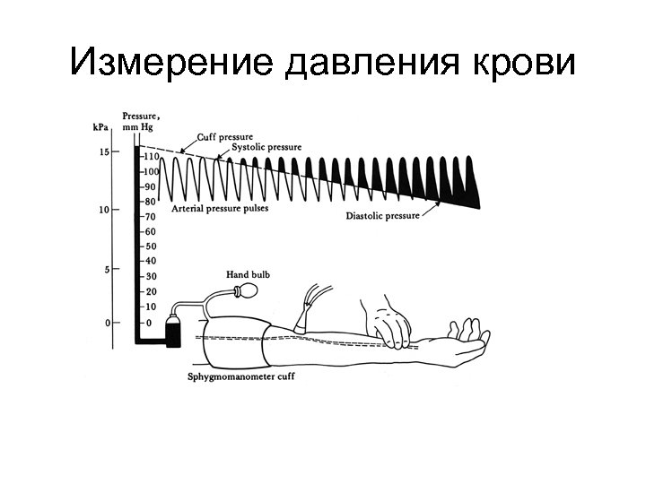 Измерение давления крови 