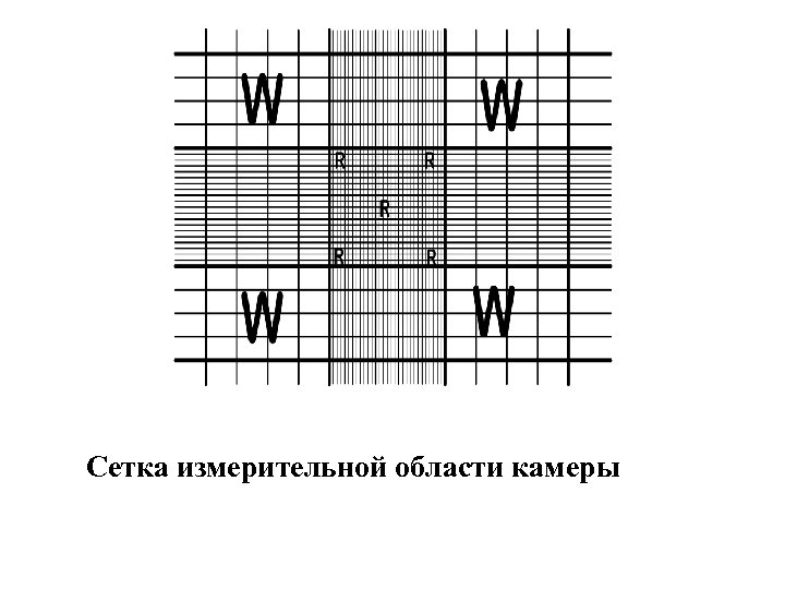 Сетка измерительной области камеры 