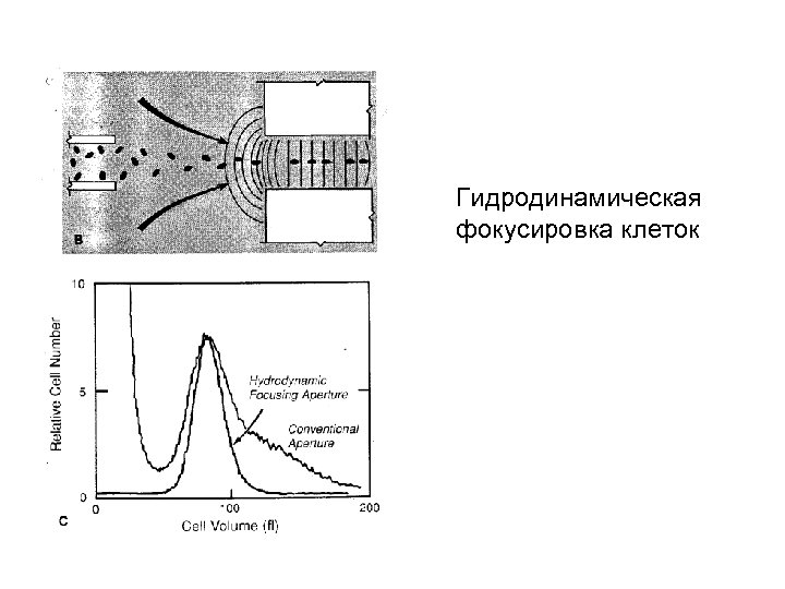Гидродинамическая фокусировка клеток 