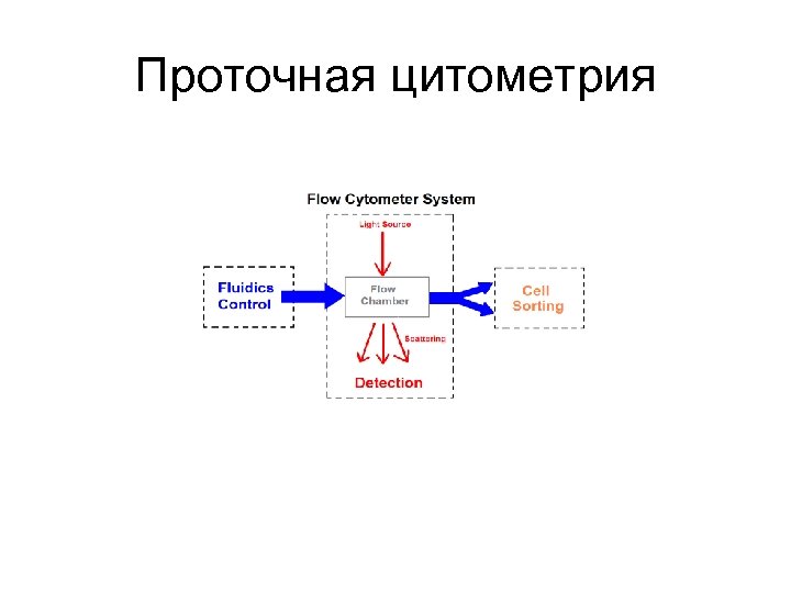 Проточная цитометрия 