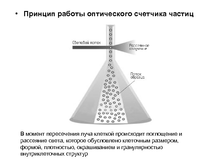  • Принцип работы оптического счетчика частиц В момент пересечения луча клеткой происходит поглощение