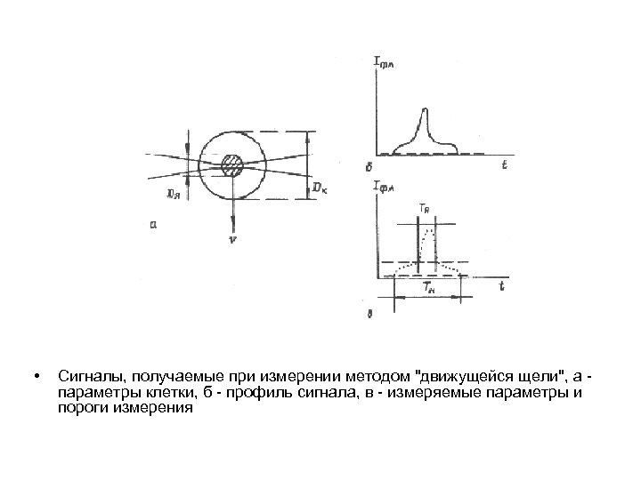  • Сигналы, получаемые при измерении методом "движущейся щели", а - параметры клетки, б
