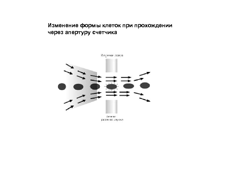 Изменение формы клеток при прохождении через апертуру счетчика 