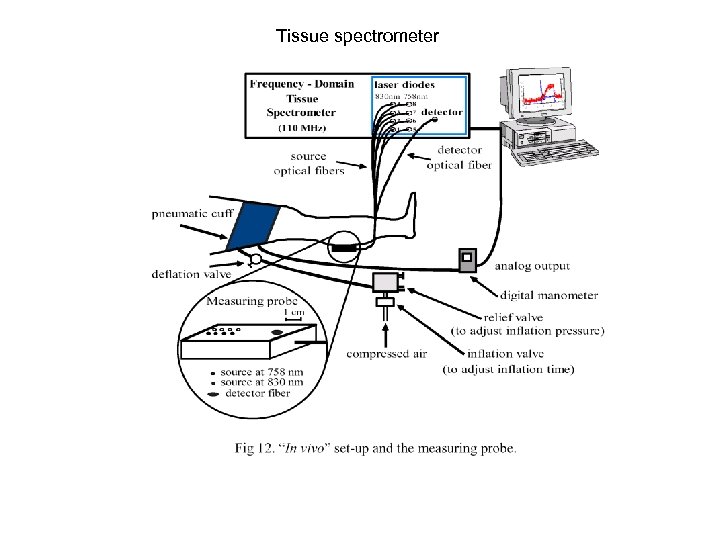 Tissue spectrometer 