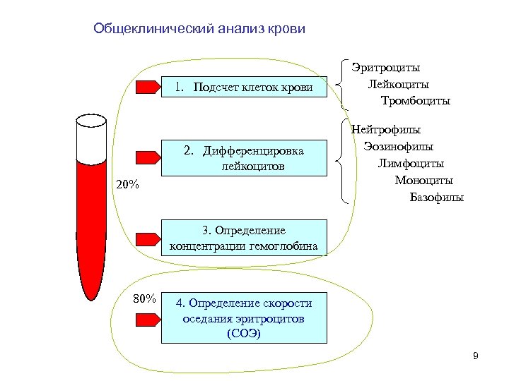 Общеклинический анализ крови 1. Подсчет клеток крови 2. Дифференцировка лейкоцитов 20% Эритроциты Лейкоциты Тромбоциты