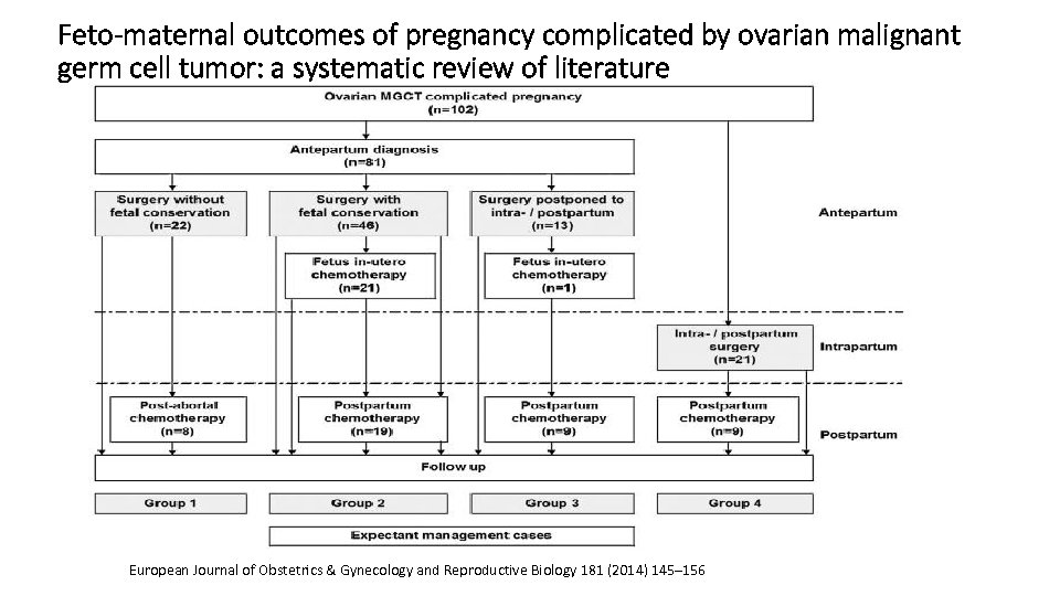 Feto-maternal outcomes of pregnancy complicated by ovarian malignant germ cell tumor: a systematic review